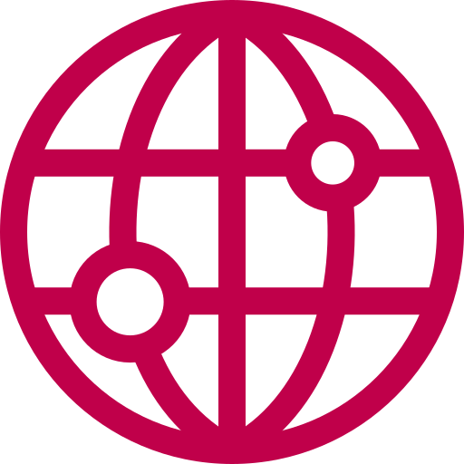 icon-network